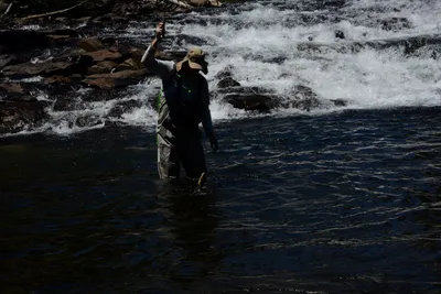 DSC_9932 (Large).JPG